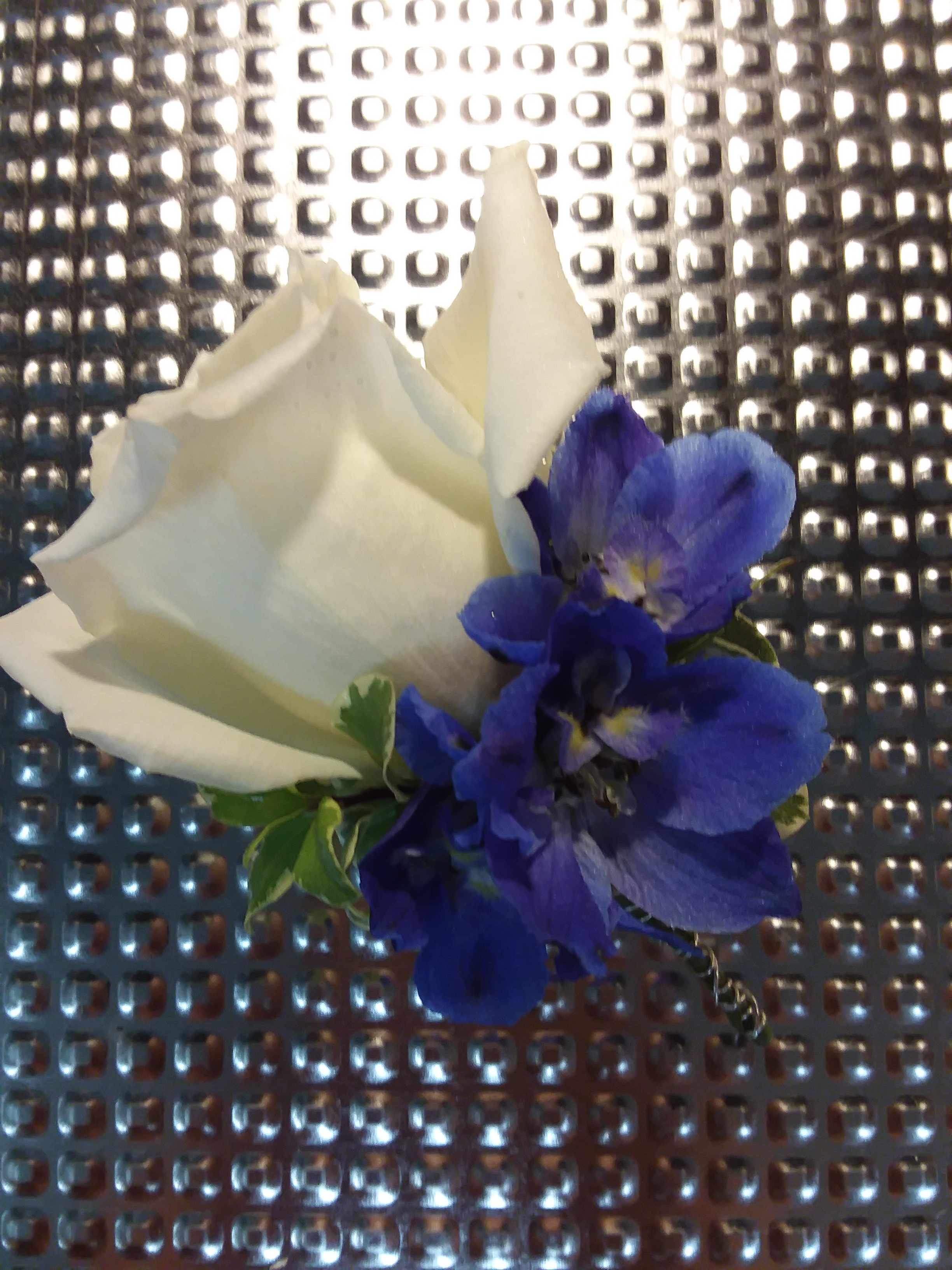 White Rose & Delphinium Boutonniere | Floral Expressions by Joan